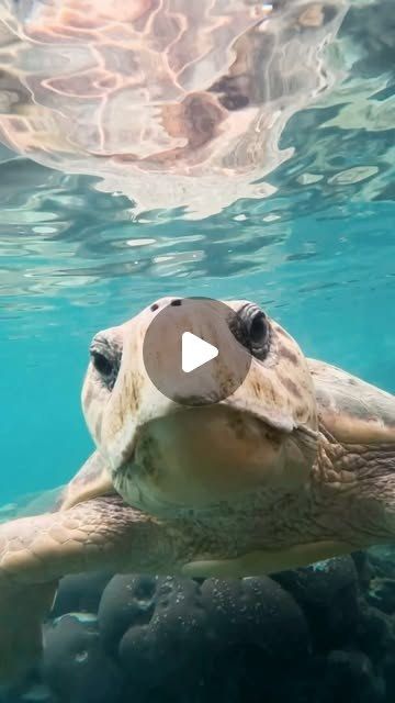Publicación de Instagram de la Fundación