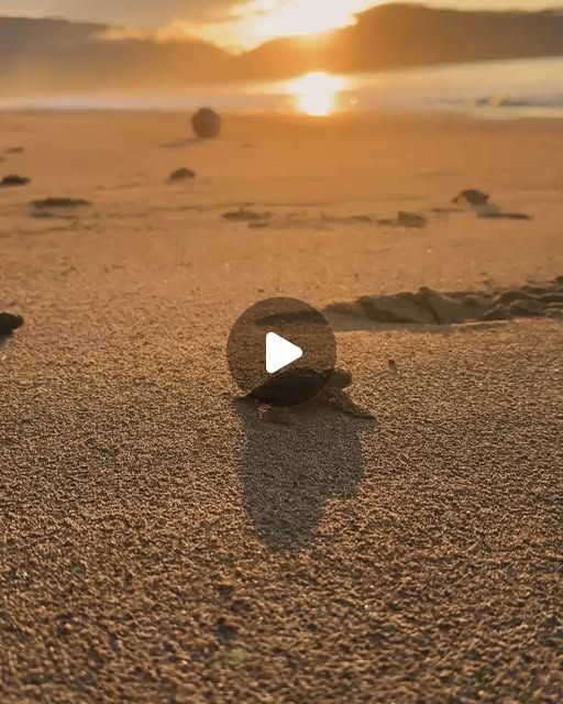 Publicación de Instagram de la Fundación