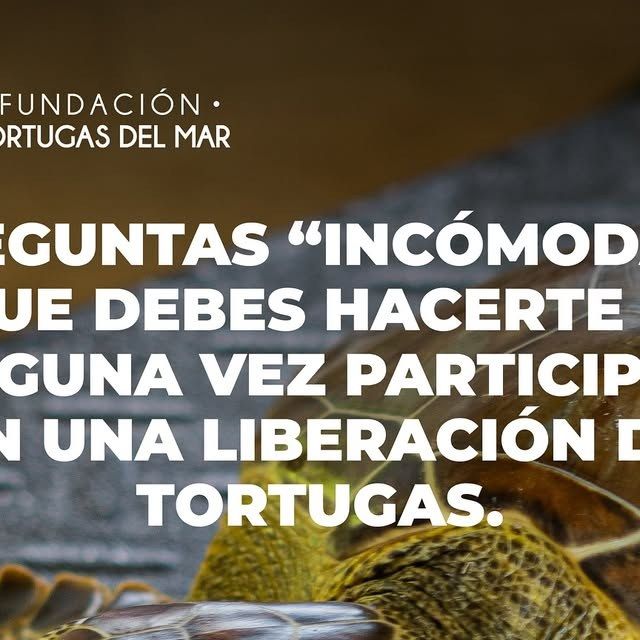Publicación de Instagram de la Fundación
